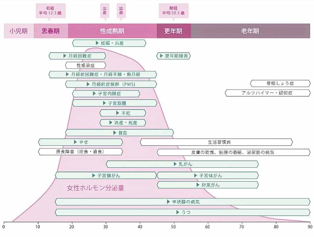 女性のライフステージや生活環境の図